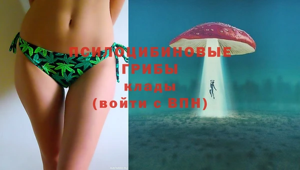 Альфа ПВП Алзамай