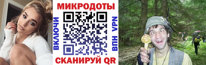 Галлюциногенные грибы Magic Shrooms закладка Куйбышев